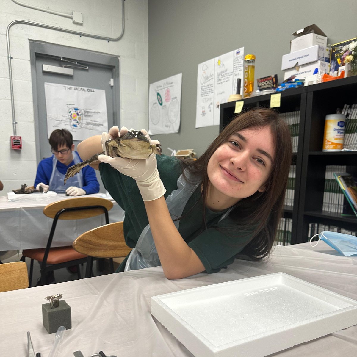 Aluna em aula prática de biologia